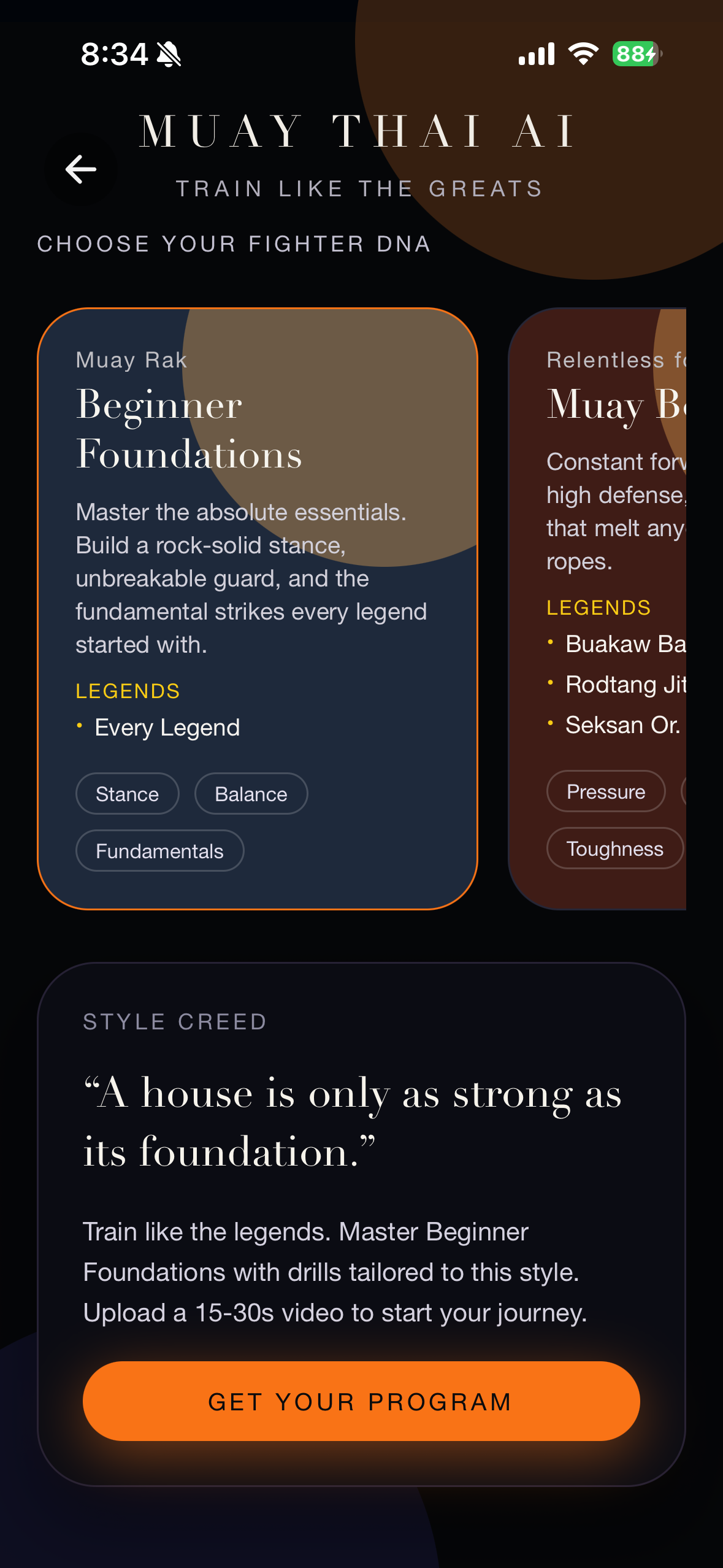 Choose Your Fighter Style